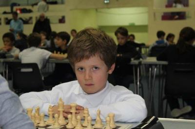 Alexandre sp